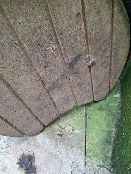 Photo of free Stepping stone slabs (Kidderminster DY11) #2