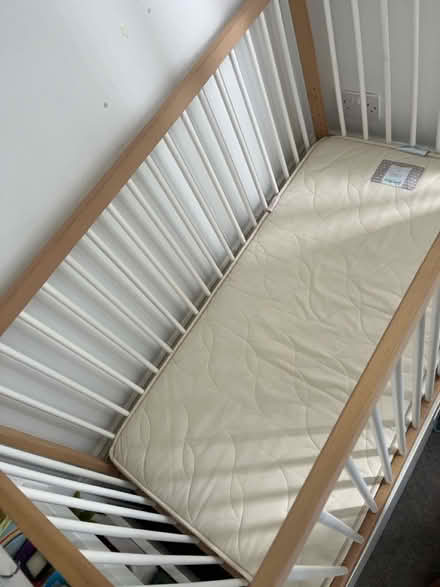 Photo of free Cotbed+ little green sheep mattress (Stoke Newington N16) #2