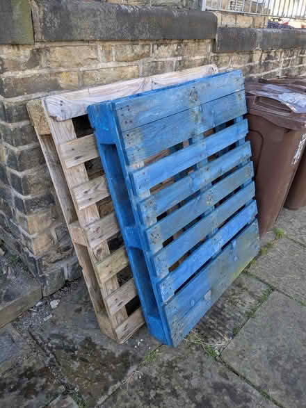 Photo of free Pallets (Sheffield S11) #1