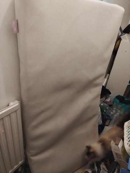 Photo of free Baby bed & mattress (Croydon) #1