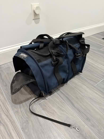 Photo of free Soft pet carrier (Coolidge Corner, Brookline) #2