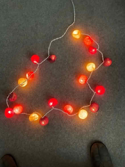 Photo of free Decorative lights (Longford Park M21) #1