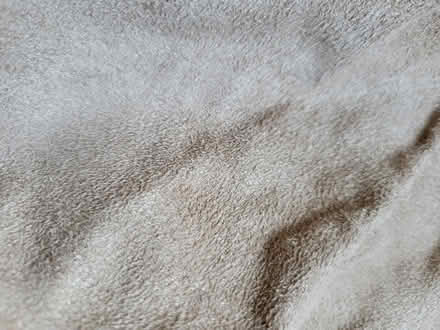 Photo of free Light brown velvet curtains (Tamworth) #3