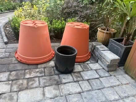 Photo of free Giant Plastic Plant Pots. (Roehampton SW15) #1