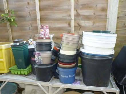 Photo of free Plastic Flower pots (Emsworth PO10) #1