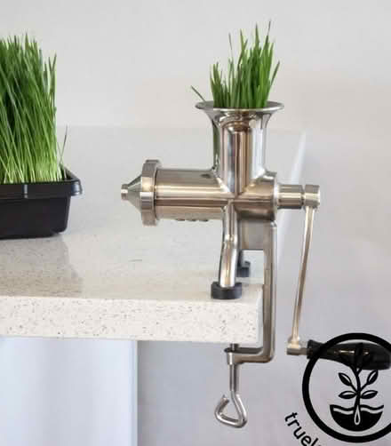 Photo of free Wheatgrass juicer (Brightwood (20012)) #1
