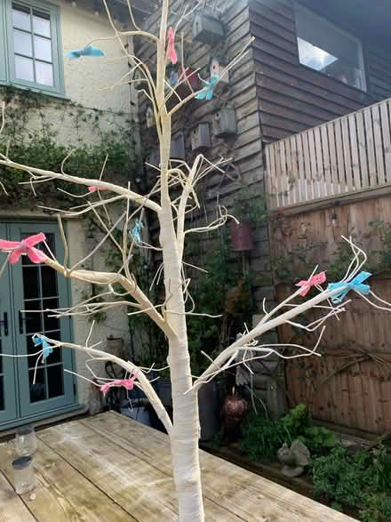 Photo of free Easter tree (Letchworth SG6) #2