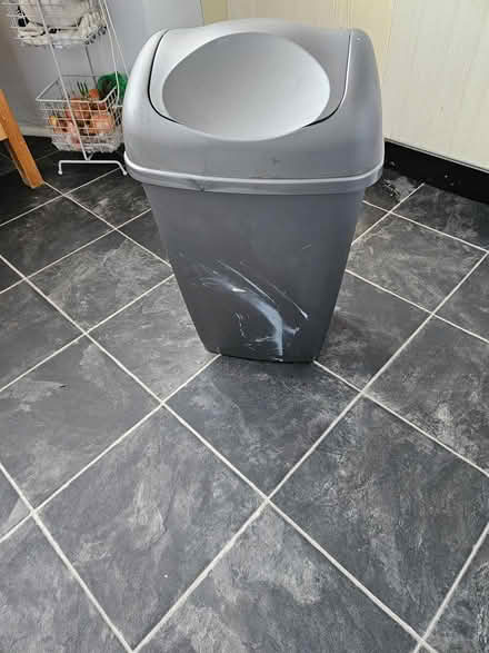 Photo of free Swing bin (Colinton EH13) #3