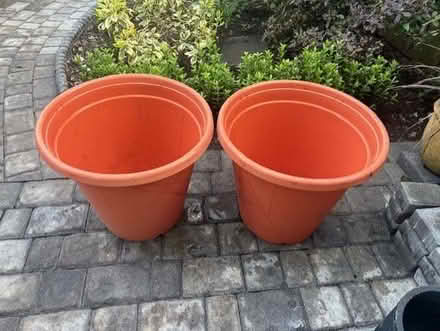Photo of free Giant Plastic Plant Pots. (Roehampton SW15) #2