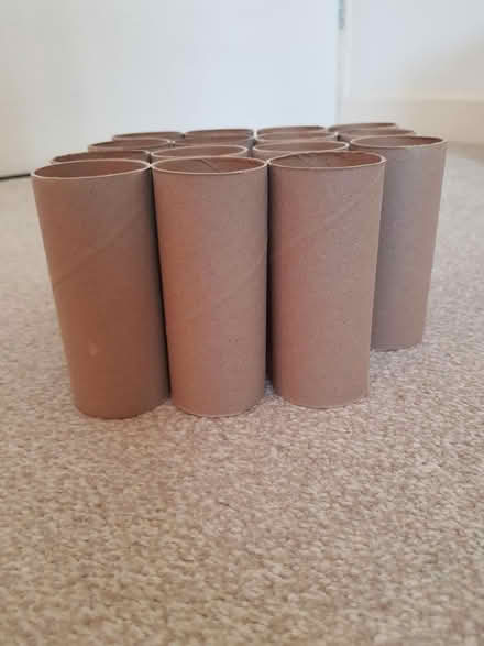 Photo of free 15 Empty Toilet Rolls (North Abingdon, OX14) #1