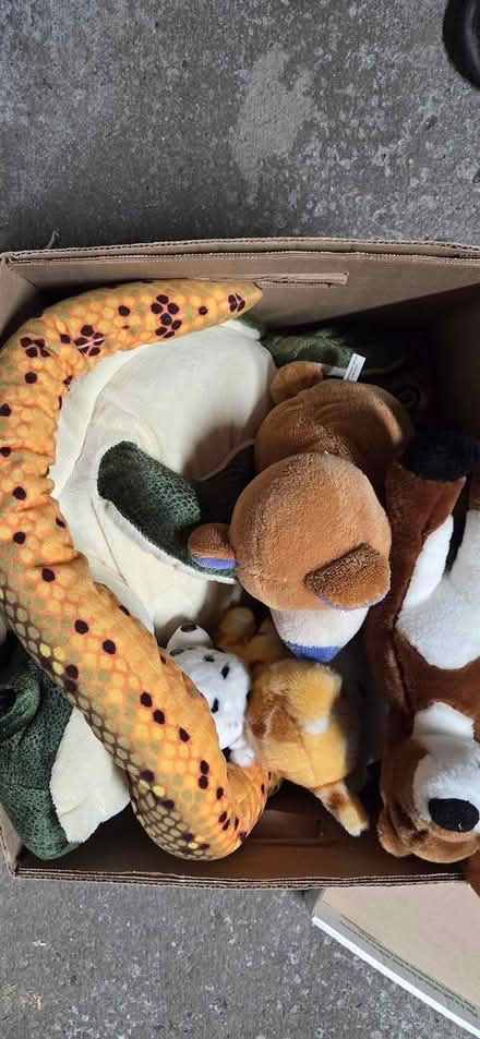 Photo of free Box of clean high quality stuffies (Montreal road and St Laurent) #1