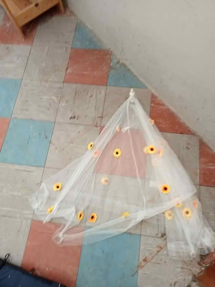 Photo of free Food protector (Drayton PO6) #1