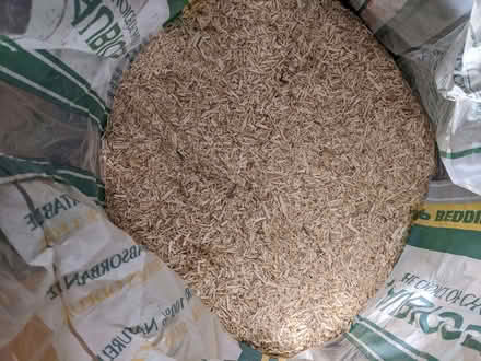 Photo of free Aubiose (Springfield SY2) #2