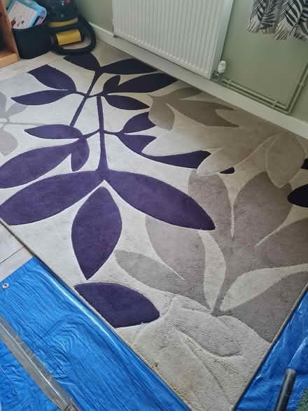 Photo of free Large rug (Trowbridge BA14) #1