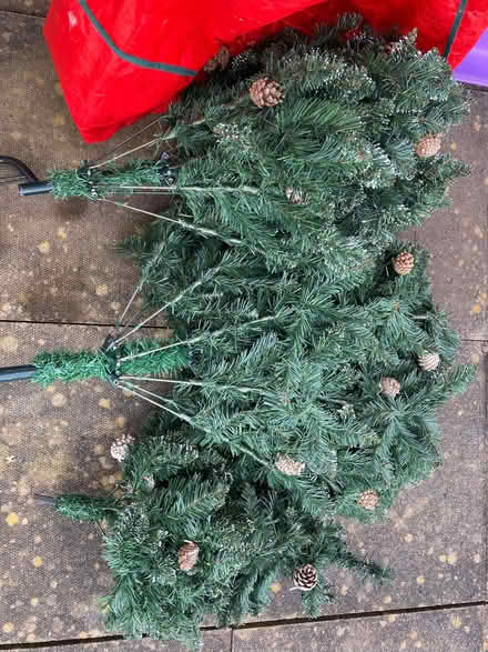Photo of free 6ft Christmas tree (Whitefield M45) #2