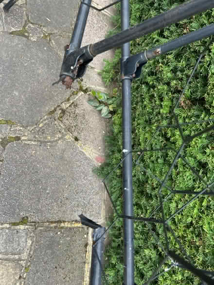 Photo of free Solid black metal trellis (KT17 3BH) #4