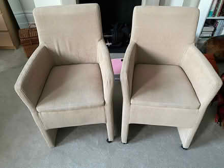 Photo of free Dining chairs (Notting hill W11) #1
