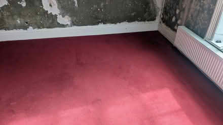 Photo of free Carpets - various colours and sizes (Chinley SK23) #1