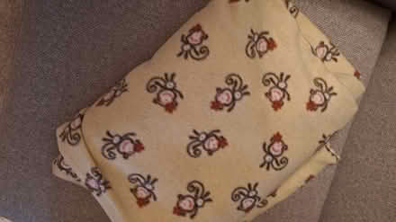 Photo of free 2 X throws RG26 (Bramley, Hants RG26) #2