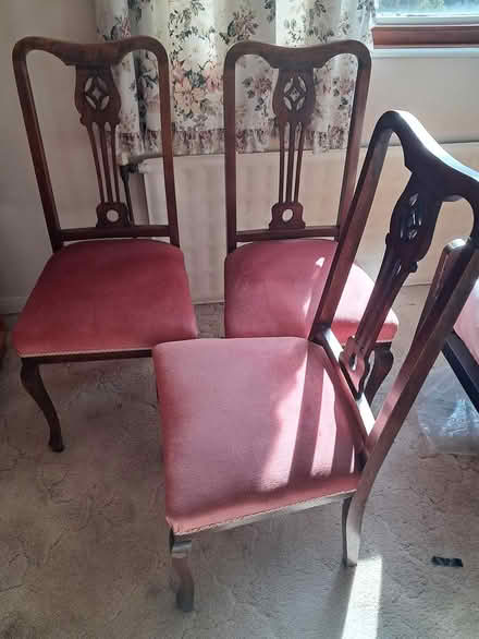 Photo of free Chairs x3 (CT1) #1