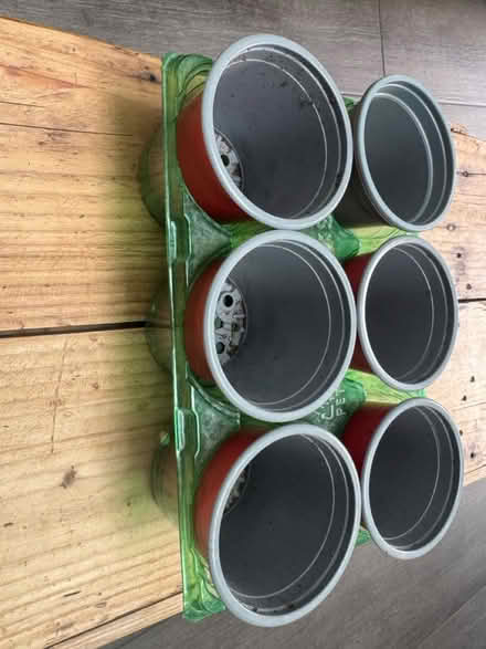 Photo of free Planting pots for spring (Elephant and Castle) #1
