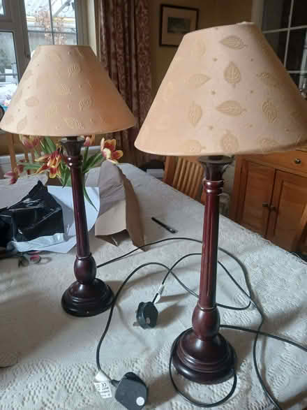 Photo of free Table Lamps (Wigginton OX15) #2