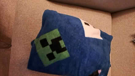 Photo of free 2 Throws Minecraft & a tortilla (Bramley, Hants RG26) #2