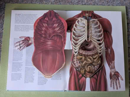 Photo of free The Human Body Book in 3-D (Beulah Hill SE19) #2