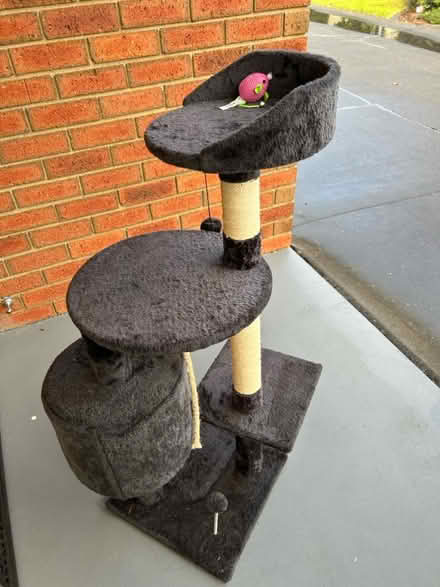 Photo of free Cat Tree (Chelsea Heights) #2
