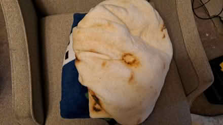 Photo of free 2 Throws Minecraft & a tortilla (Bramley, Hants RG26) #1