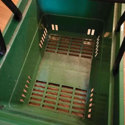 Photo of free Sturdy plastic basket- garden? (Oaklands nr Welwyn AL6) #3