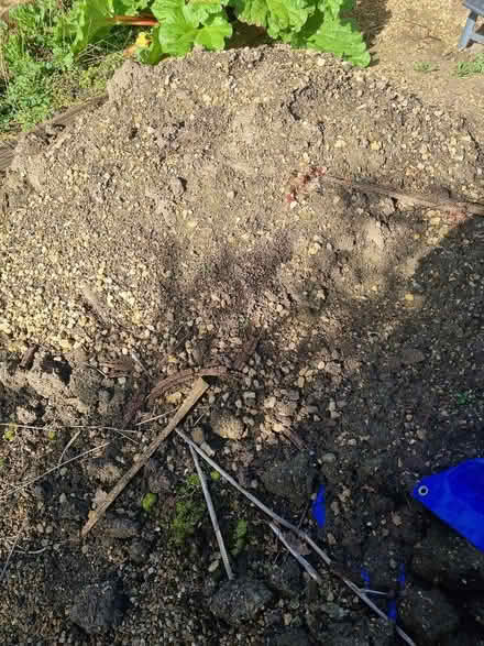 Photo of free Excavated Earth for Top Soil (Bengeo SG14) #3