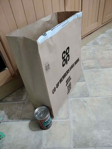 Photo of free 30 large strong paper bags. (Whitley Bay NE26) #1
