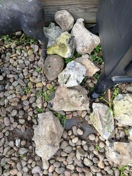 Photo of free Garden Bits (Lewes BN7) #3