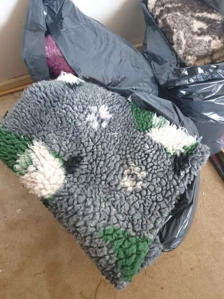 Photo of free Bag of Used Dog Fleeces (Trowbridge BA14) #1