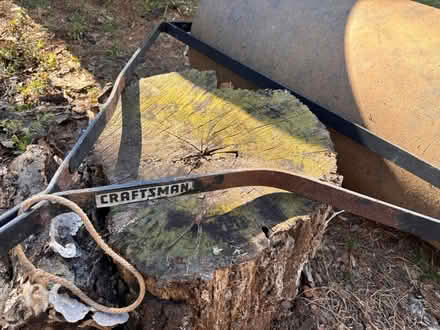 Photo of free Water Roller (Warrenton, VA) #2