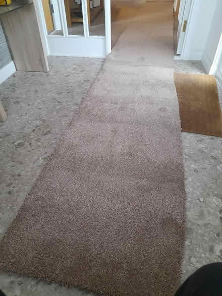 Photo of free long piece of carpet (Bridge of allan) #2