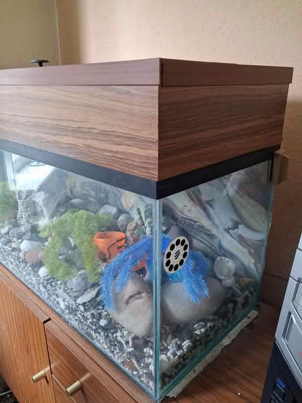 Photo of free Fish tank (Widcombe, Bath) #2