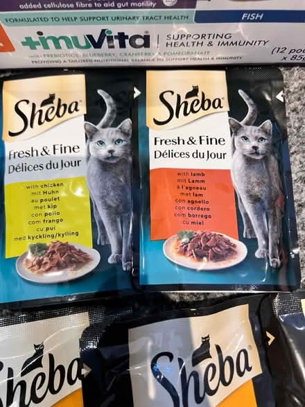 Photo of free Food for adult cat 1+ (Rm17) #4