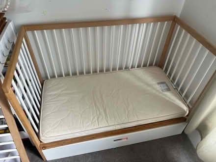 Photo of free Cotbed+ little green sheep mattress (Stoke Newington N16) #1