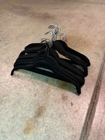 Photo of free Velvet Hangers (Mission Blvd and Whipple) #2