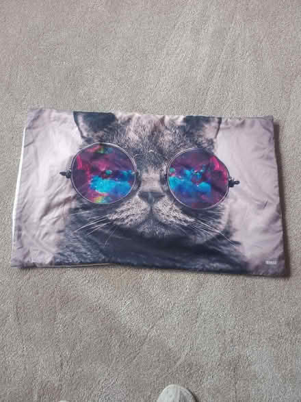 Photo of free Character pillow case (Handsworth S13) #1