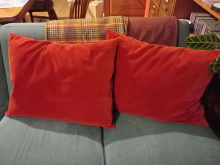 Photo of free Two red cushions (Caldecott OX14) #1