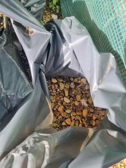 Photo of free Stone mix for building ground works (Bengeo SG14) #3