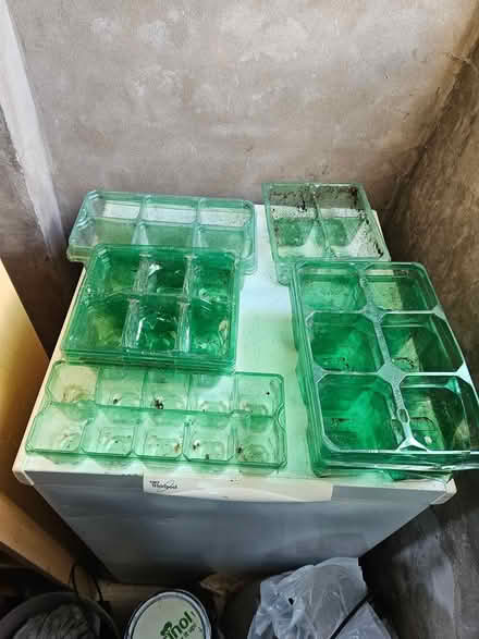 Photo of free Seed/small plant trays (Colinton EH13) #2