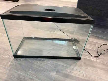 Photo of free Fish/reptile tank (Coolidge Corner, Brookline) #2