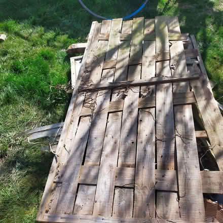 Photo of free Broken fence panels (Gobowen SY11) #2