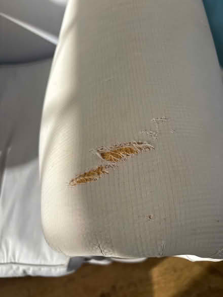 Photo of free Armchair (Littlethorpe HG4) #3