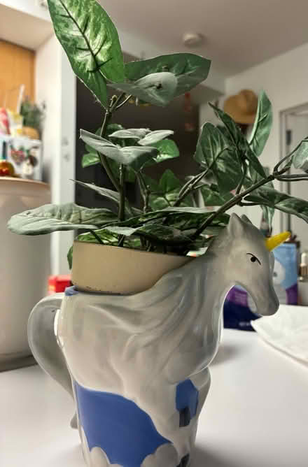 Photo of free Unicorn cup (West 57th) #2