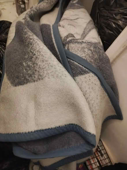 Photo of free Blanket approx 2m X 2m (Croydon) #1